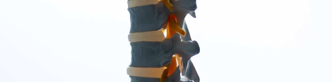 Atlanta Orthopedic specialists spine model