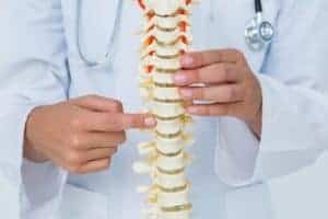 AICA spine doctor holding spine model