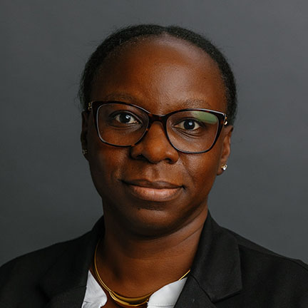 Nerima Mango Featured Image